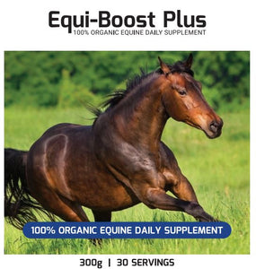 equi-boost anti-inflammatory supplement