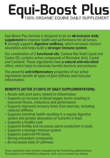 equi-boost supplment for horses