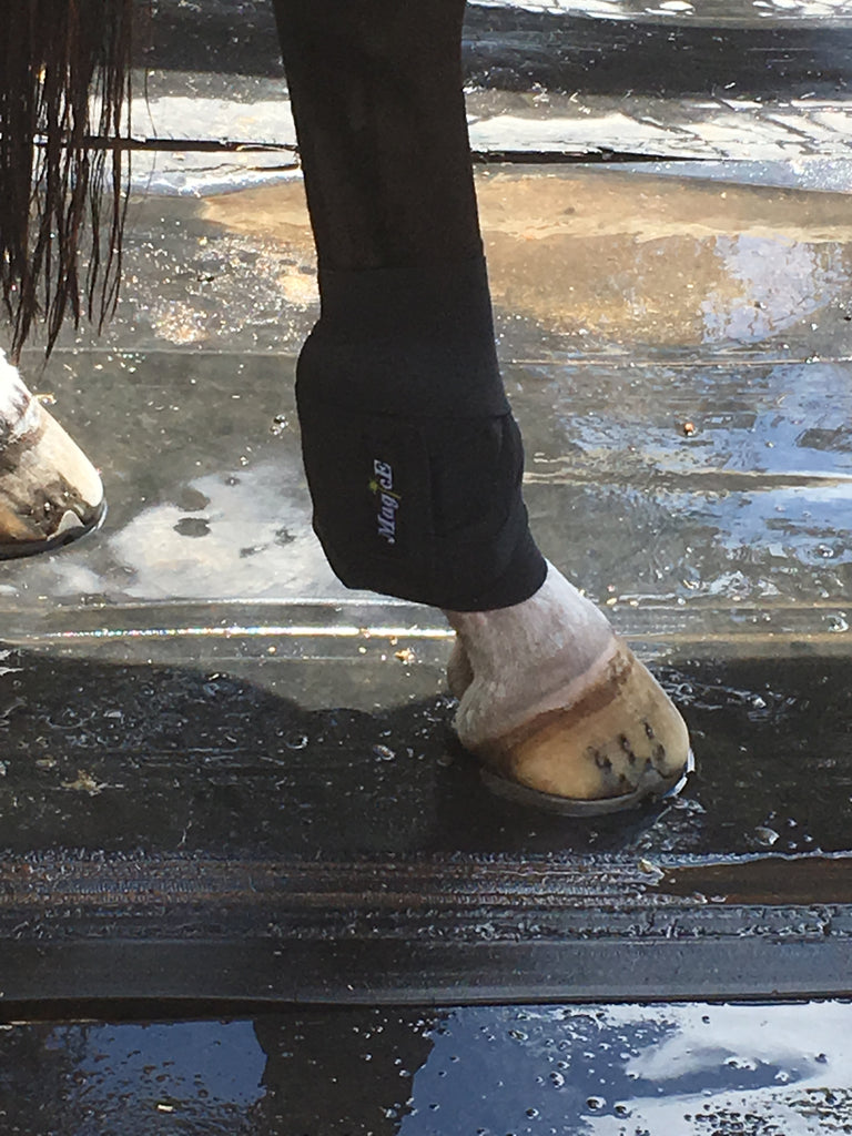 Fetlock wraps 2025