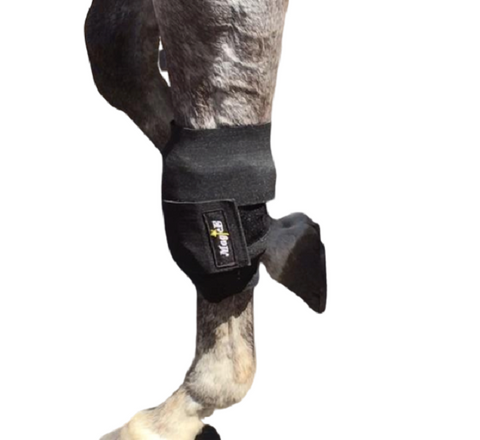 Image of bandage wrap on horses leg