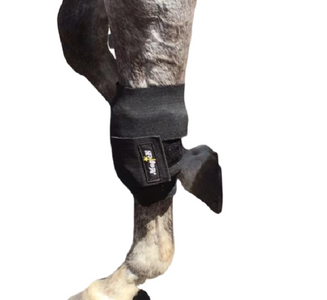 bandage wrap on horses leg