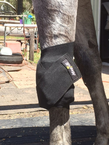 Image of Knee & Fetlock Wraps (Pair)